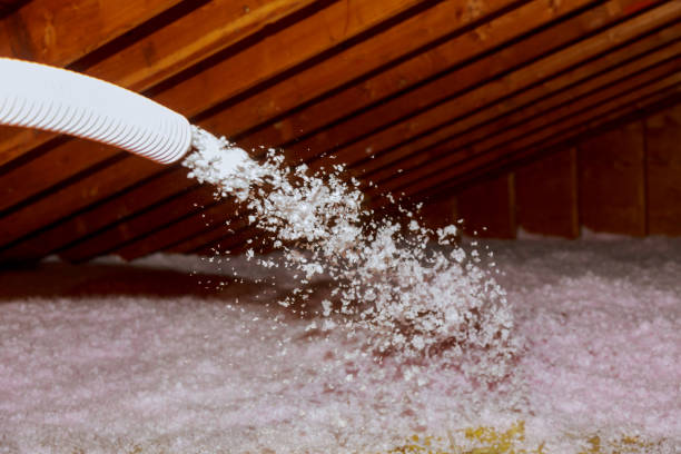 Best Insulation Maintenance and Repair in East Niles, CA